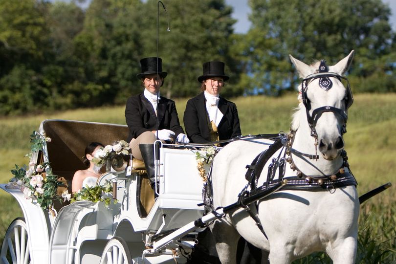 CARRIAGES of the CAPITAL