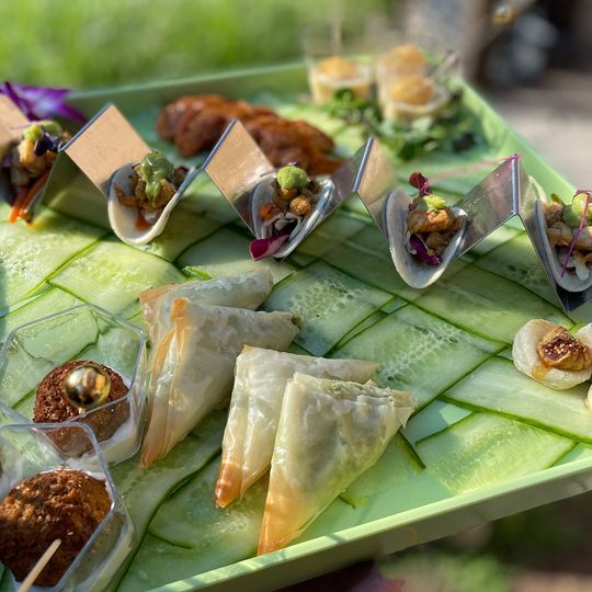 V Catering Services