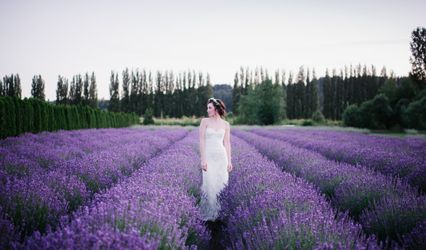 Woodinville Lavender