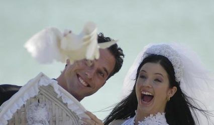 Dove Release/Weddings/Events/Music