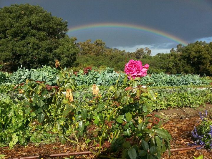 Terra Madre Gardens