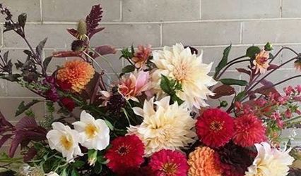 Red Daisy Farm