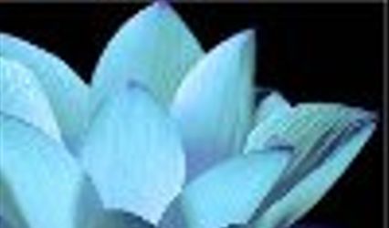 Lotus Diamonds