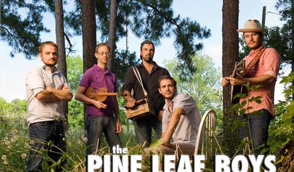 Pine Leaf Boys