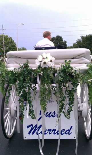 Rockn' B Horse Carriage