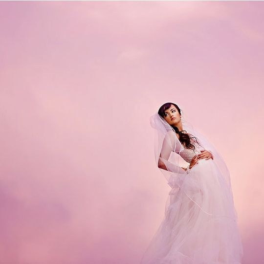 Elizabeth Taylor Frandsen Photography