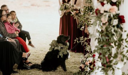 Katarina Elizabeth Events