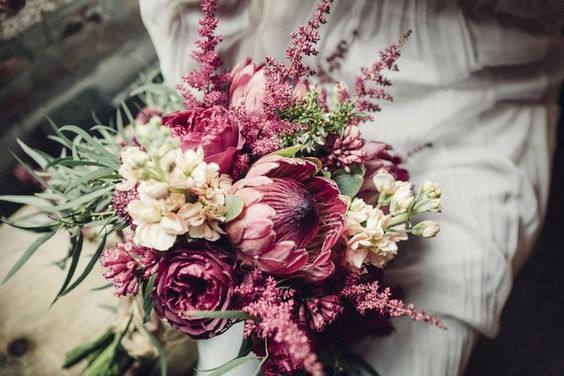 Wilder Gardens + Flowers