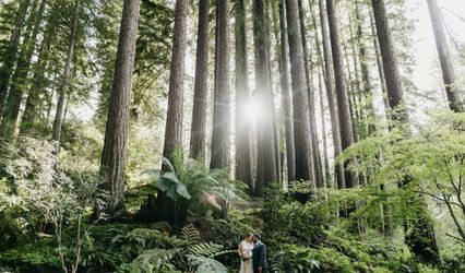 Savannah Hayes Photography