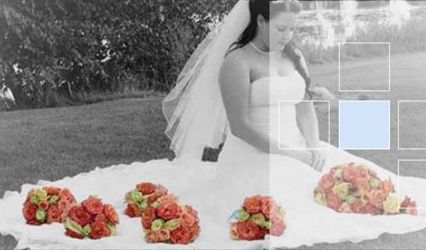 T. Specht Photography
