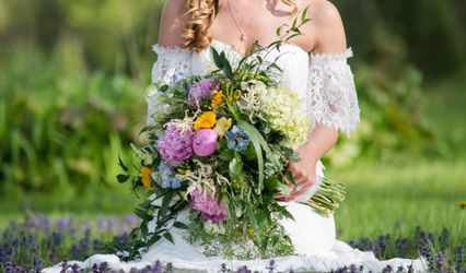 Danielle Shaughnessey Photography