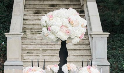A Touch of Essence Events