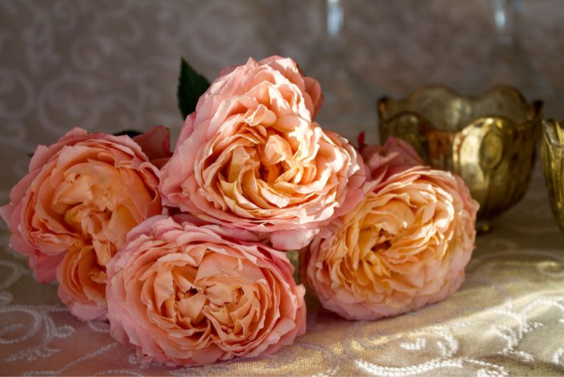 Donhauser Florist