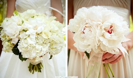Garden Delights Fine Florist