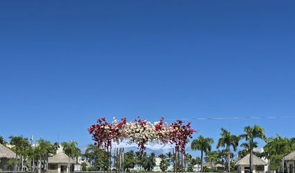 Wedding & Events by Ana Polanco