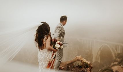 Lynn Lewis Photography