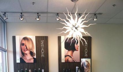 Lunatic Fringe Salon