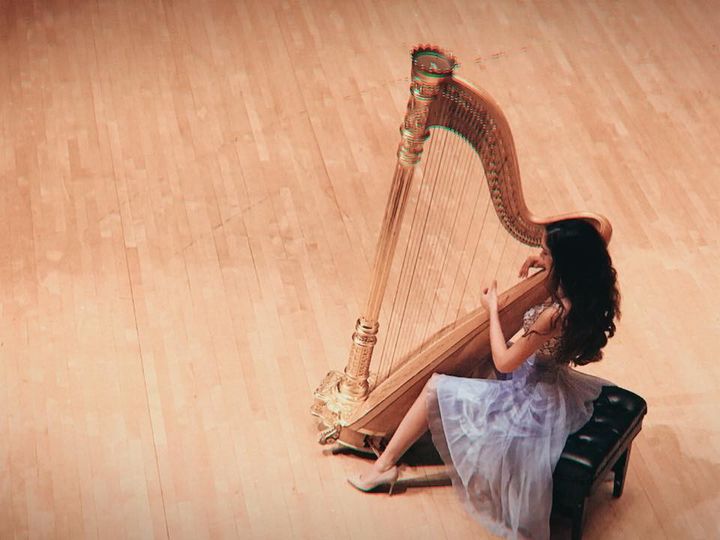 Harpist - Beste Toparlak