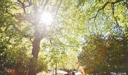 Newspin Photography
