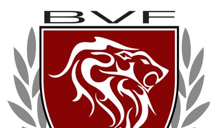 BVFILMS LLC