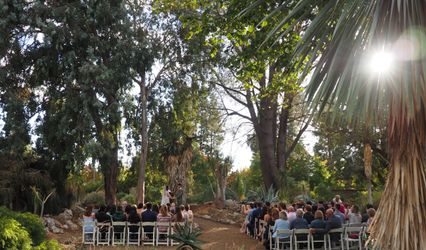 The Ruth Bancroft Garden