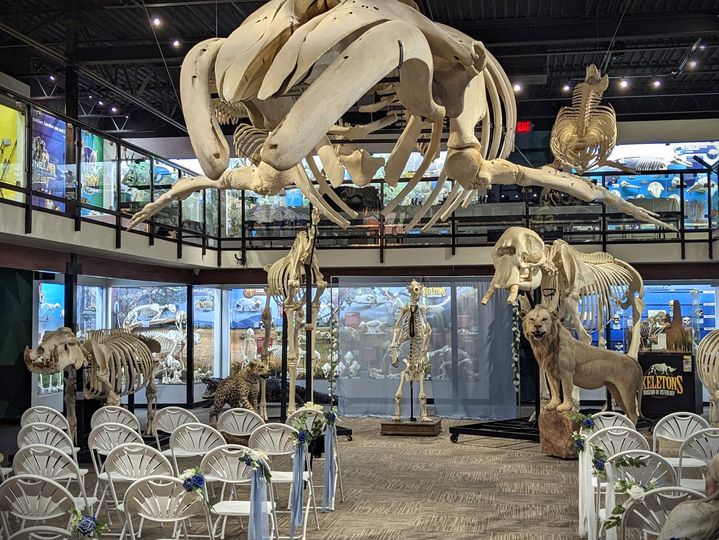SKELETONS: Museum of Osteology