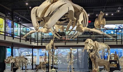 SKELETONS: Museum of Osteology