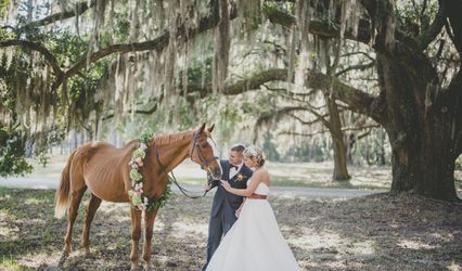 Morgan Gallo Events