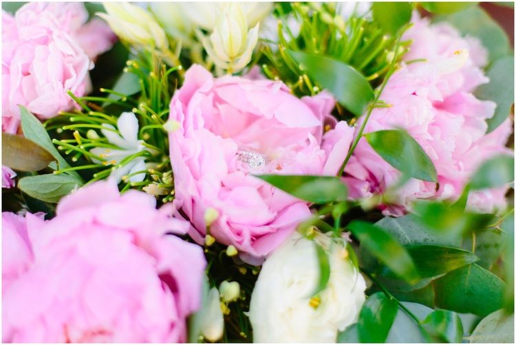 Zoe's House of Flowers