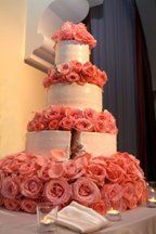 Elegant By Design