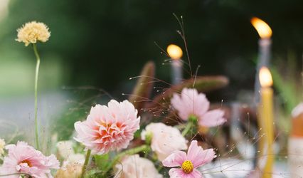 Fern Croft Floral