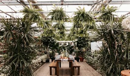 Lulu Event Rentals