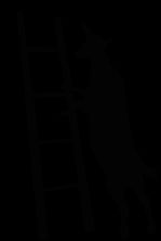 Stepladder Ranch