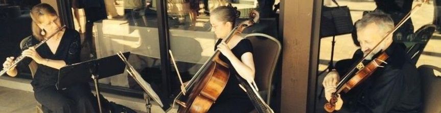 Community Chamber Artists
