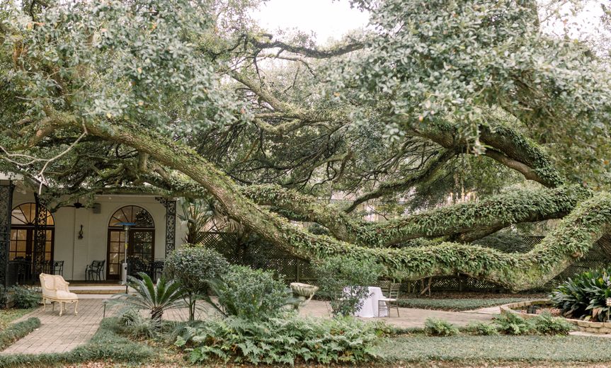 Vintage Court