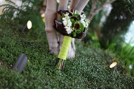 Kim Albers Events