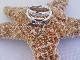 Beautiful Beach Weddings