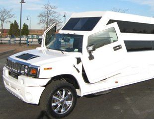 M. G Limos Service