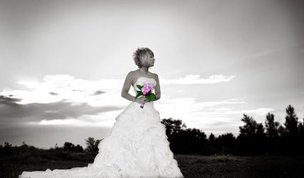 Liquid Vision Films