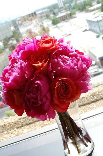 Blushing Blooms