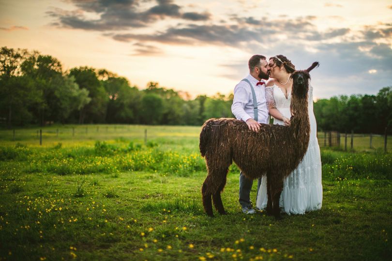 WoodsEdge Farm Events
