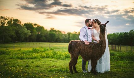 WoodsEdge Farm Events
