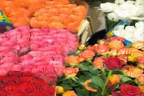 Floresville Flower Shop