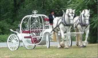 Bronx Equestrian Center