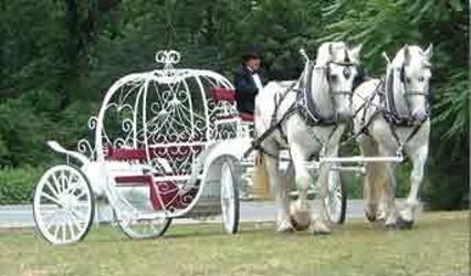 Bronx Equestrian Center