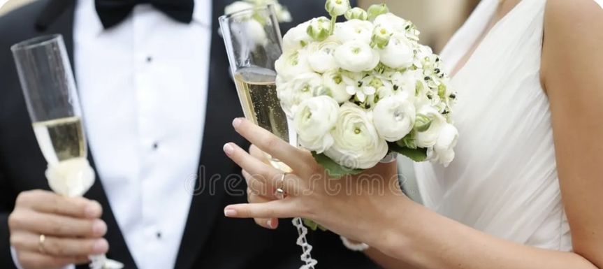 Wedding Minister- Dr. Rev. Michele Darnell
