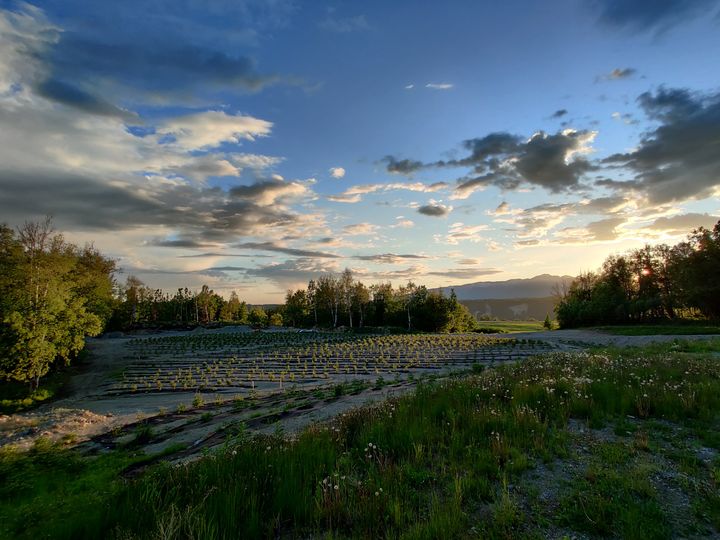 Lazy Mountain Acres