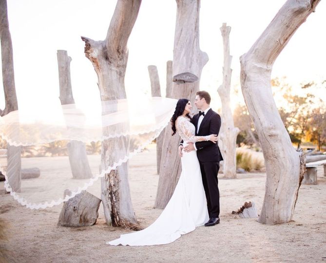 Shane Fellows Photography