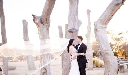 Shane Fellows Photography