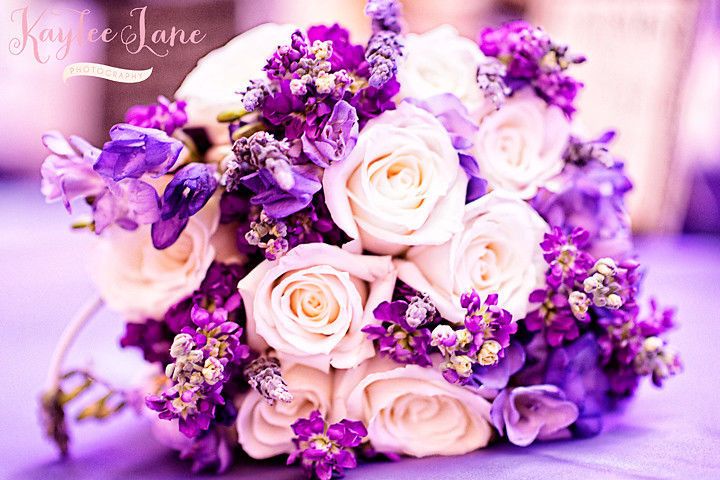 Kaylee Lane Photography